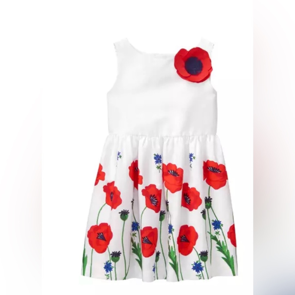 Janie and Jack Poppy Boarder Dress  Floral White and Red size 6-12 months